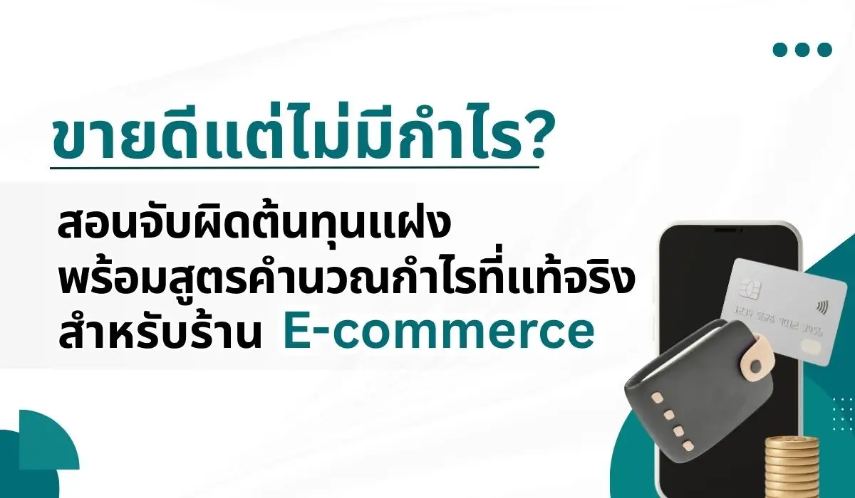 E-commerce Profit Secrets Detect Hidden Costs and Find Your True Margin