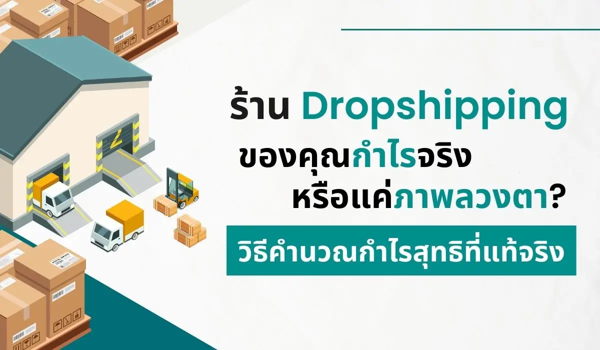 Is Your Dropshipping Store Truly Profitable or Just an Illusion How to Calculate Your Real Net Profi